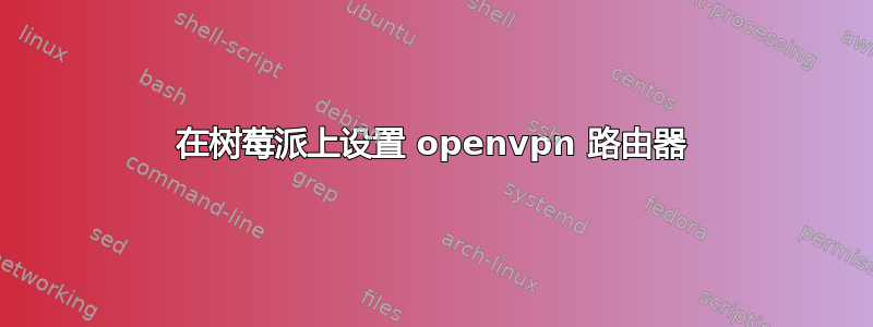 在树莓派上设置 openvpn 路由器