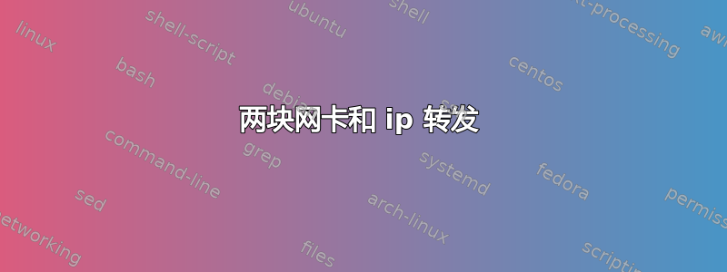 两块网卡和 ip 转发