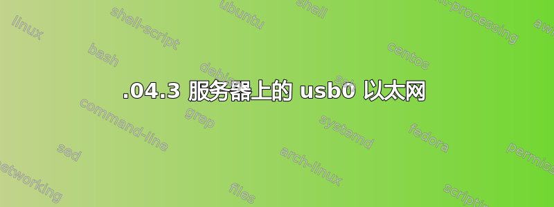 10.04.3 服务器上的 usb0 以太网