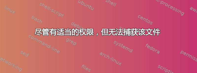 尽管有适当的权限，但无法捕获该文件