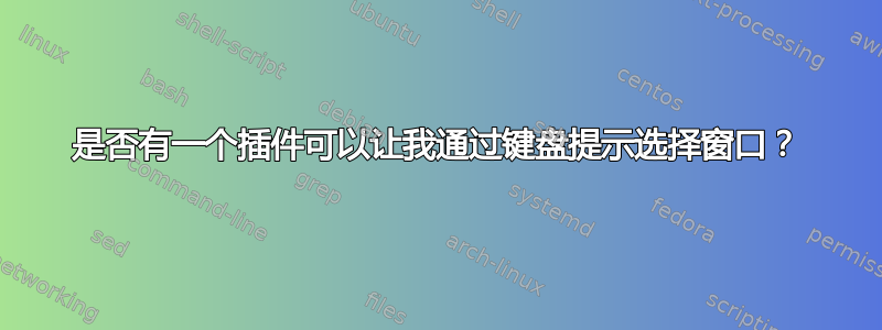 是否有一个插件可以让我通过键盘提示选择窗口？