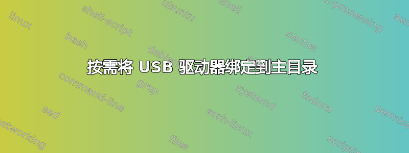 按需将 USB 驱动器绑定到主目录