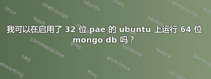 我可以在启用了 32 位 pae 的 ubuntu 上运行 64 位 mongo db 吗？