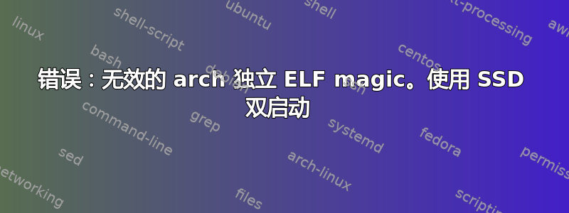 错误：无效的 arch 独立 ELF magic。使用 SSD 双启动 