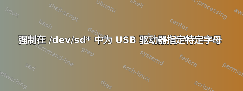 强制在 /dev/sd* 中为 USB 驱动器指定特定字母