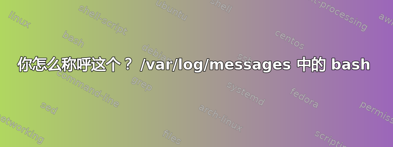 你怎么称呼这个？ /var/log/messages 中的 bash