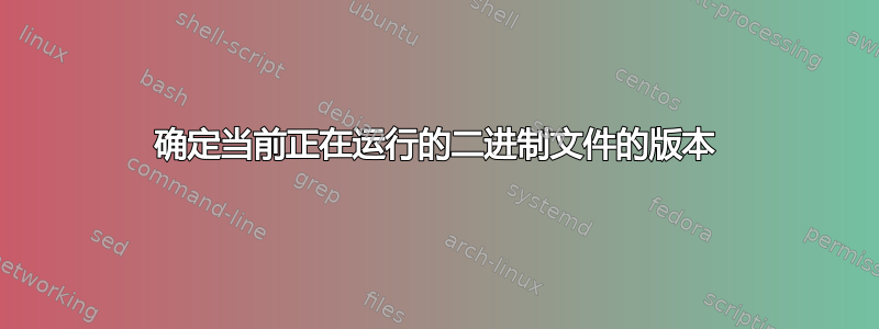 确定当前正在运行的二进制文件的版本