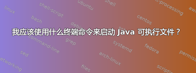 我应该使用什么终端命令来启动 Java 可执行文件？