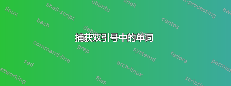 捕获双引号中的单词