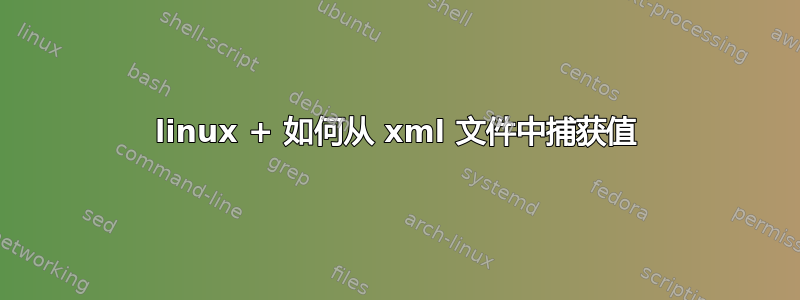 linux + 如何从 xml 文件中捕获值