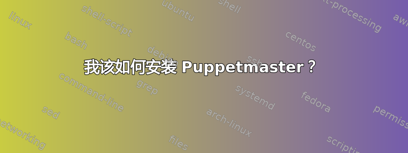 我该如何安装 Puppetmaster？