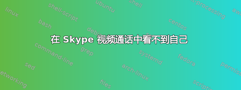 在 Skype 视频通话中看不到自己