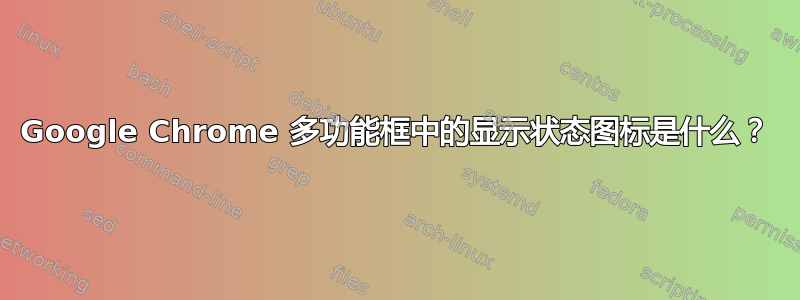 Google Chrome 多功能框中的显示状态图标是什么？