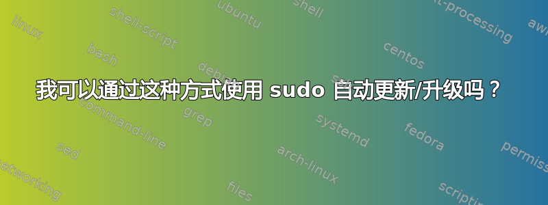 我可以通过这种方式使用 sudo 自动更新/升级吗？