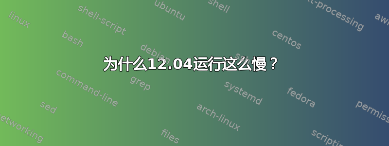 为什么12.04运行这么慢？