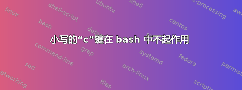 小写的“c”键在 bash 中不起作用