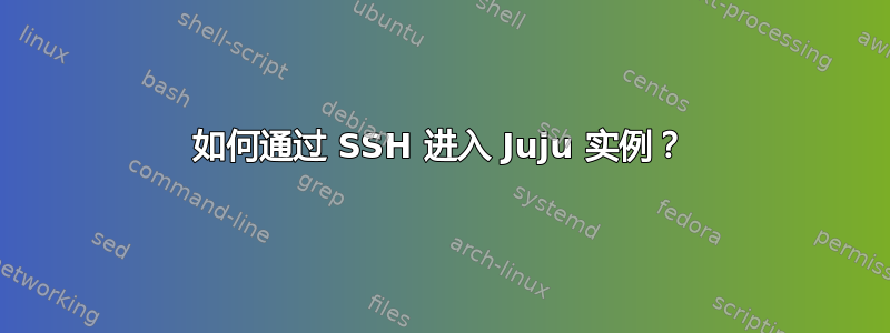 如何通过 SSH 进入 Juju 实例？