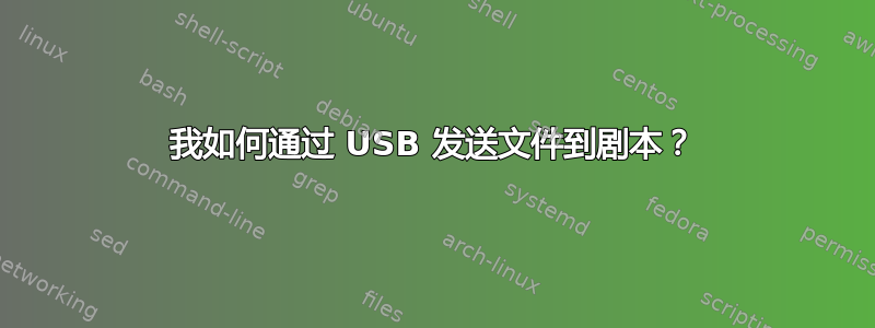 我如何通过 USB 发送文件到剧本？