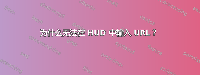 为什么无法在 HUD 中输入 URL？