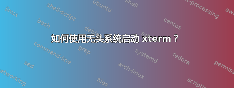 如何使用无头系统启动 xterm？