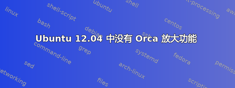 Ubuntu 12.04 中没有 Orca 放大功能