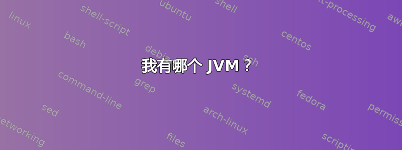 我有哪个 JVM？