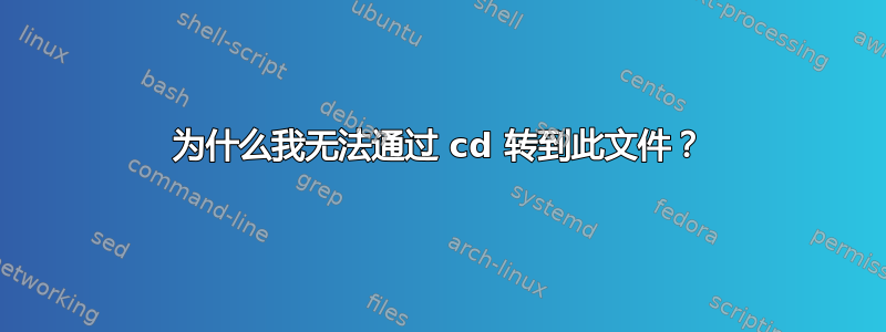 为什么我无法通过 cd 转到此文件？