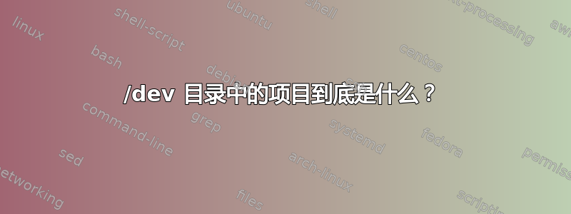 /dev 目录中的项目到底是什么？