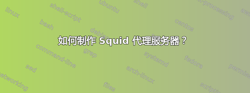 如何制作 Squid 代理服务器？