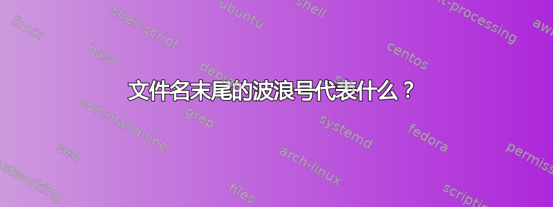 文件名末尾的波浪号代表什么？