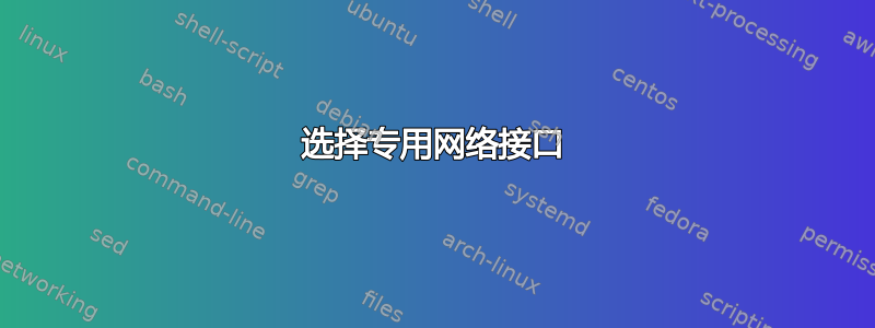 选择专用网络接口