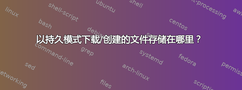 以持久模式下载/创建的文件存储在哪里？