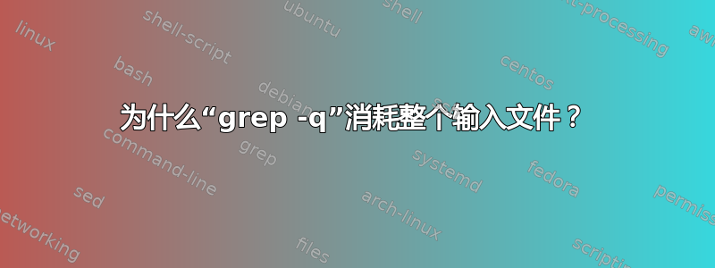 为什么“grep -q”消耗整个输入文件？