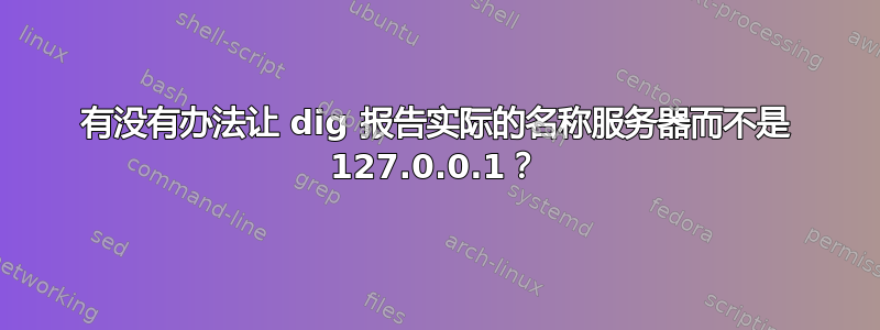 有没有办法让 dig 报告实际的名称服务器而不是 127.0.0.1？