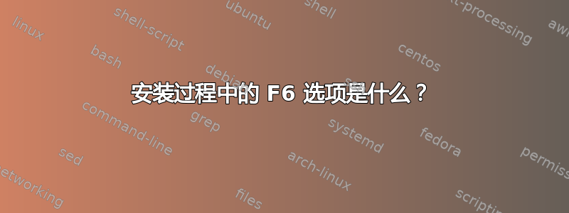 安装过程中的 F6 选项是什么？