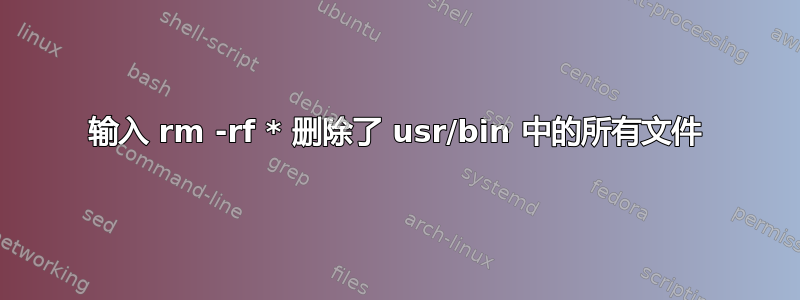 输入 rm -rf * 删除了 usr/bin 中的所有文件