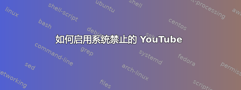 如何启用系统禁止的 YouTube