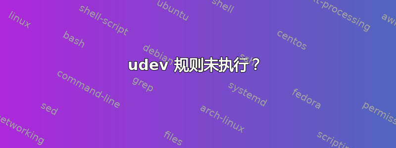 udev 规则未执行？