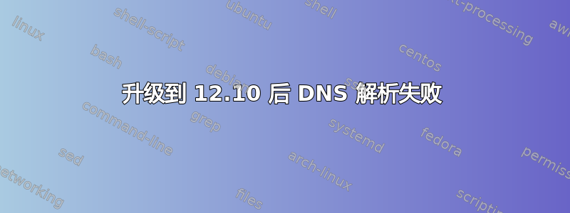 升级到 12.10 后 DNS 解析失败