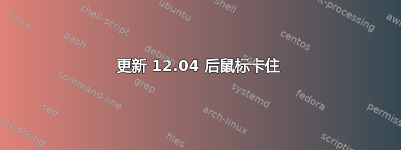 更新 12.04 后鼠标卡住