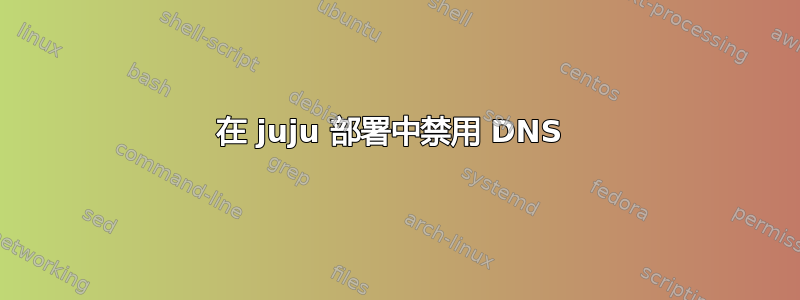 在 juju 部署中禁用 DNS 