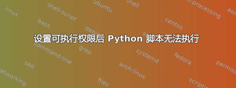 设置可执行权限后 Python 脚本无法执行