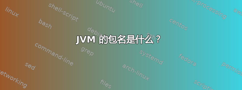 JVM 的包名是什么？