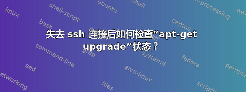 失去 ssh 连接后如何检查“apt-get upgrade”状态？