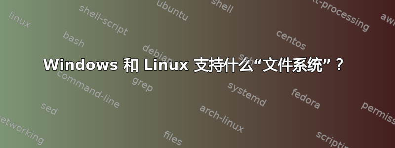 Windows 和 Linux 支持什么“文件系统”？