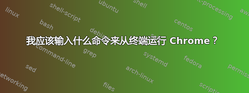 我应该输入什么命令来从终端运行 Chrome？