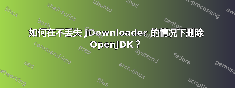 如何在不丢失 JDownloader 的情况下删除 OpenJDK？