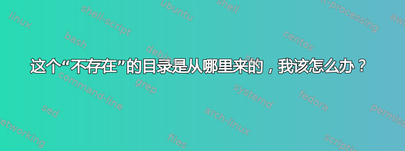 这个“不存在”的目录是从哪里来的，我该怎么办？