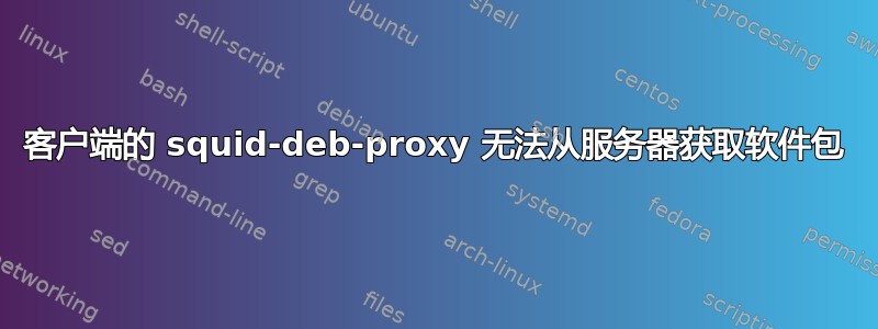 客户端的 squid-deb-proxy 无法从服务器获取软件包