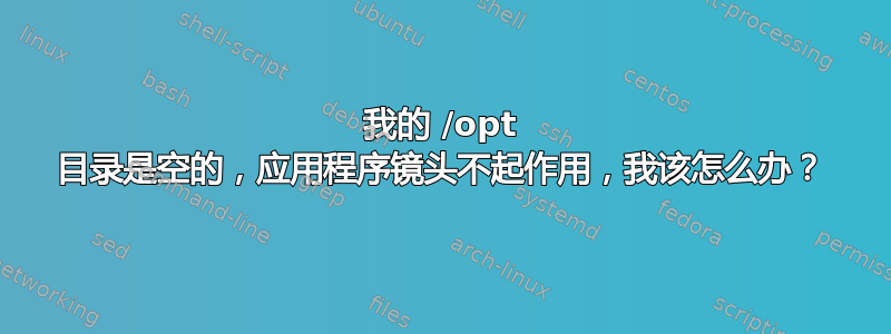 我的 /opt 目录是空的，应用程序镜头不起作用，我该怎么办？